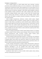 Ontologijų sistemos 11 puslapis