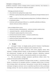 Ontologijų sistemos 13 puslapis