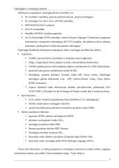 Ontologijų sistemos 4 puslapis