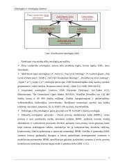 Ontologijų sistemos 6 puslapis
