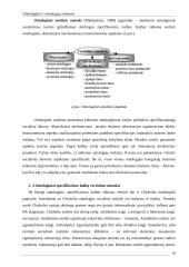 Ontologijų sistemos 9 puslapis