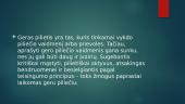 Lietuvos respublikos seimas, geras pilietis 8 puslapis