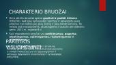 Lietuvos respublikos seimas, geras pilietis 9 puslapis
