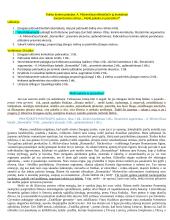 Samprotavimo rašinys ,, Meilė pakelia ar gramzdina?“