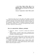 Operatyvinis valdymas 2 puslapis
