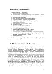 Operatyvinis valdymas 3 puslapis