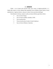 Optika. Šviesos bangos ir savybės 2 puslapis