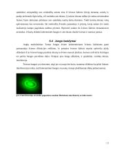 Optika. Šviesos bangos ir savybės 11 puslapis