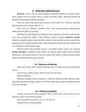 Optika. Šviesos bangos ir savybės 12 puslapis