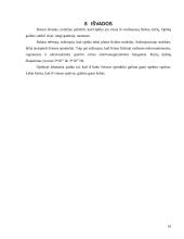 Optika. Šviesos bangos ir savybės 16 puslapis