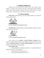 Optika. Šviesos bangos ir savybės 4 puslapis