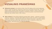 Reklamos analizė: „Biržų duonos“ atvejis 5 puslapis