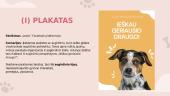 „Lesė“. Reklaminio pranešimo kūrimas 8 puslapis
