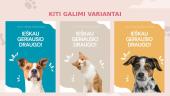 „Lesė“. Reklaminio pranešimo kūrimas 9 puslapis