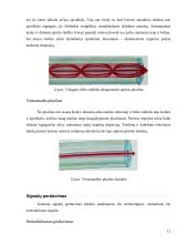 Optiniai tinklai 12 puslapis