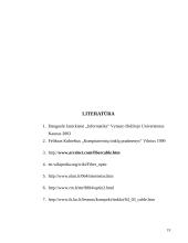 Optiniai tinklai 19 puslapis