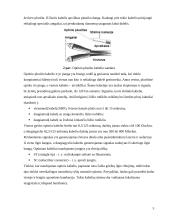 Optiniai tinklai 5 puslapis