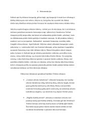 Reklamos analizė ir kūrimas 3 puslapis