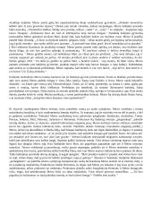 Kamiu kūrinio „Svetimas“ analizė 3 puslapis