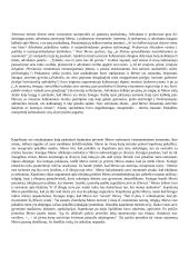 Kamiu kūrinio „Svetimas“ analizė 4 puslapis