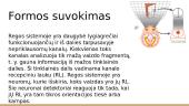 Forma, figūra, fonas. Regėjimas 2 puslapis