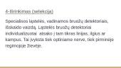 Forma, figūra, fonas. Regėjimas 11 puslapis