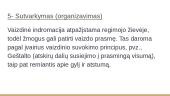Forma, figūra, fonas. Regėjimas 12 puslapis