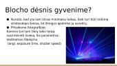 Forma, figūra, fonas. Regėjimas 15 puslapis