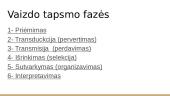 Forma, figūra, fonas. Regėjimas 7 puslapis