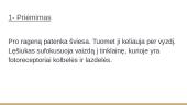 Forma, figūra, fonas. Regėjimas 8 puslapis