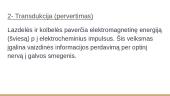 Forma, figūra, fonas. Regėjimas 9 puslapis