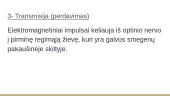 Forma, figūra, fonas. Regėjimas 10 puslapis
