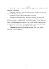 Organizacija, jos vidinė ir išorinė aplinka 2 puslapis
