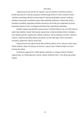 Organizacija, jos vidinė ir išorinė aplinka 14 puslapis