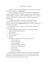 Organizacija, jos vidinė ir išorinė aplinka 3 puslapis