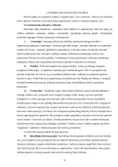 Organizacija, jos vidinė ir išorinė aplinka 8 puslapis