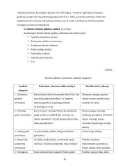 Organizacija, jos vidinė ir išorinė aplinka 10 puslapis