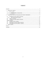 Organizacijos aplinka ir aplinkos įtaka organizacijos veiklai 2 puslapis
