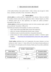 Organizacijos aplinka ir aplinkos įtaka organizacijos veiklai 4 puslapis
