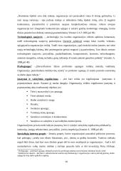 Organizacijos aplinka ir aplinkos įtaka organizacijos veiklai 10 puslapis