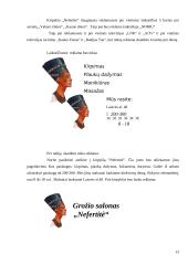 Organizacijos išorinės aplinkos analizė: pirmieji šeši žingsniai. Verslo planas: kirpykla IĮ "Nefertitė" 13 puslapis