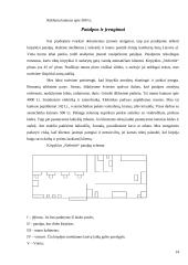 Organizacijos išorinės aplinkos analizė: pirmieji šeši žingsniai. Verslo planas: kirpykla IĮ "Nefertitė" 14 puslapis