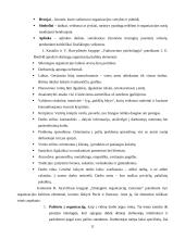 Organizacijos kultūros samprata, stiliai ir lygiai 11 puslapis