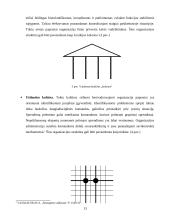 Organizacijos kultūros samprata, stiliai ir lygiai 13 puslapis