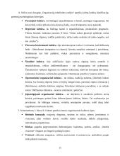 Organizacijos kultūros samprata, stiliai ir lygiai 15 puslapis