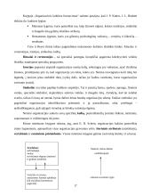 Organizacijos kultūros samprata, stiliai ir lygiai 17 puslapis
