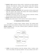 Organizacijos kultūros samprata, stiliai ir lygiai 9 puslapis