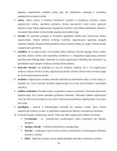 Organizacijos kultūros samprata, stiliai ir lygiai 10 puslapis