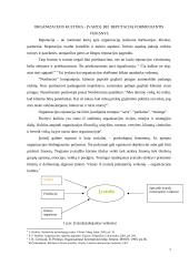 Organizacijų kultūra ir ją formuojantys veiksniai 2 puslapis