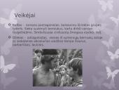 Vilijamas Goldingas „Musių valdovas“ 1954m. 8 puslapis